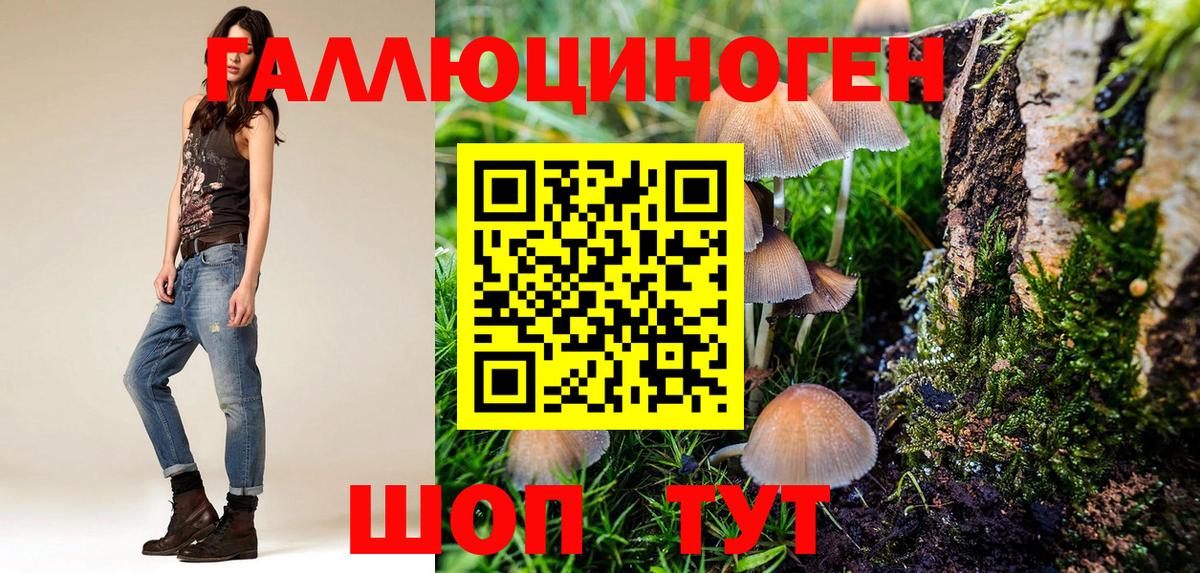 Псилоцибиновые грибы GOLDEN TEACHER Орехово-Зуево