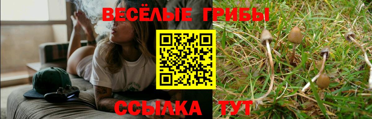 Псилоцибиновые грибы GOLDEN TEACHER  Вход с VPN  Орехово-Зуево 